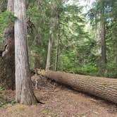 Review photo of South Skookum Lake Campground by Keshia D., August 9, 2020