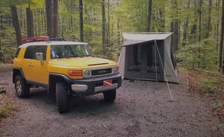 Shannon M.'s photo at Jefferson National Forest Grindstone Campground near Sugar Grove, VA