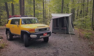 Camping near Raccoon Branch Campground: Jefferson National Forest Grindstone Campground, Troutdale, Virginia