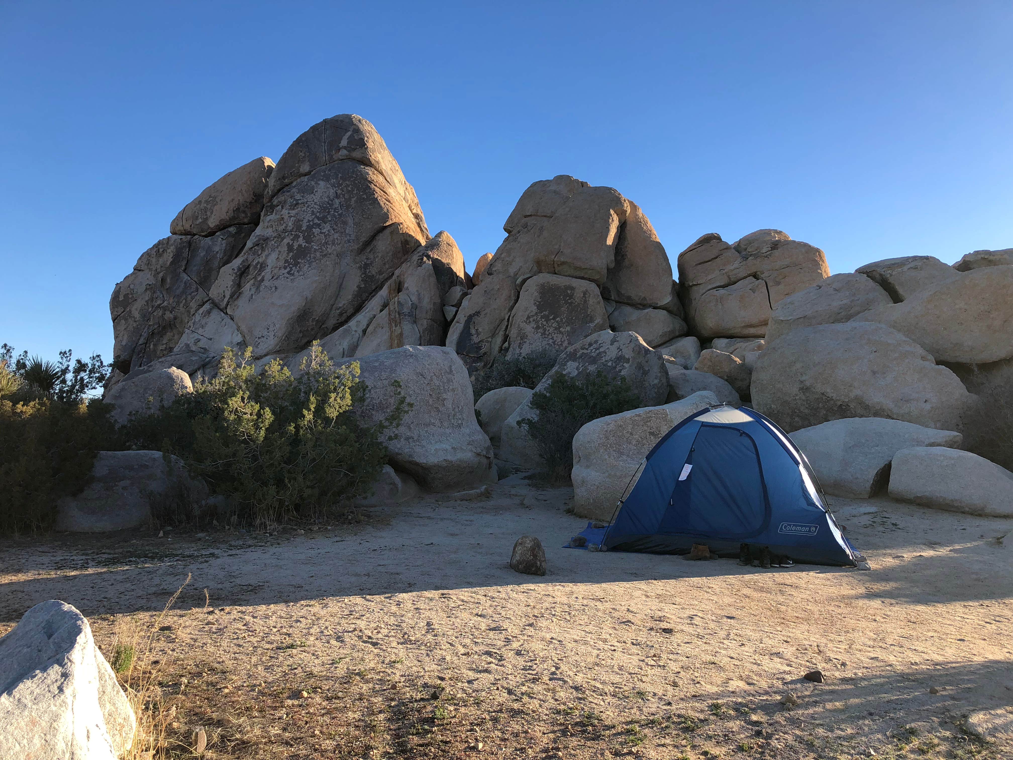 Marion D.'s photo at Ryan Campground — Joshua Tree National Park near Bermuda Dunes, CA