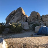 Review photo of Ryan Campground — Joshua Tree National Park by Marion D., April 24, 2018