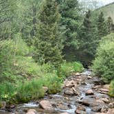 Review photo of Bear Lake Campground (CO) by Marcela R., August 12, 2020