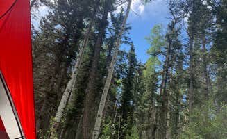Marcela R.'s photo at Agua Piedra Campground near Vadito, NM