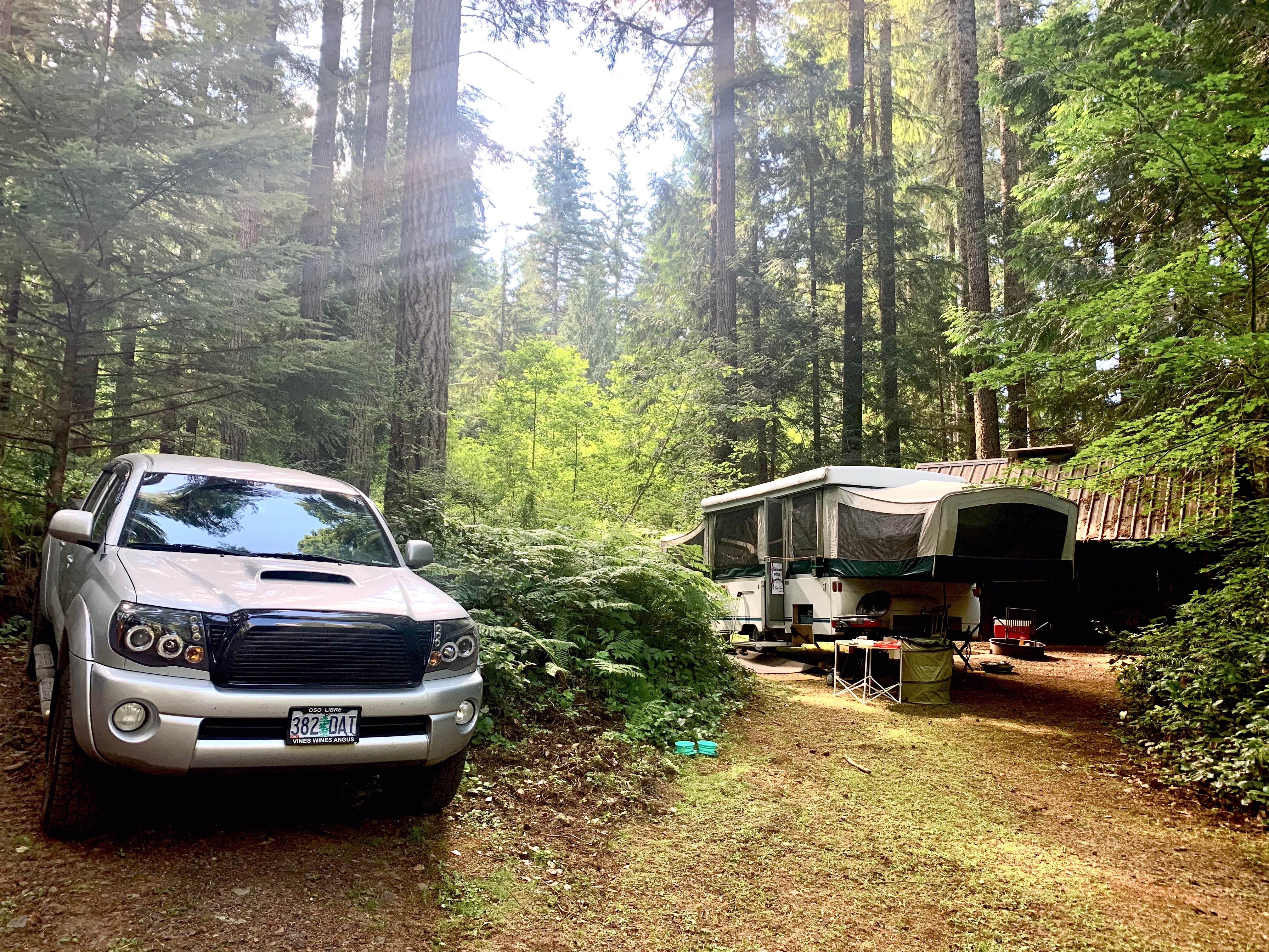Camper-submitted photo at Camp Wilkerson near Woodland, WA