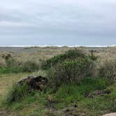 Review photo of Gold Bluffs Beach Campground — Prairie Creek Redwoods State Park by Marion D., April 24, 2018