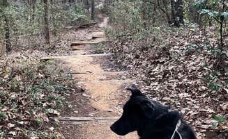 Wenona D.'s photo of camping with pets at Tyler State Park Campground near Canton, TX