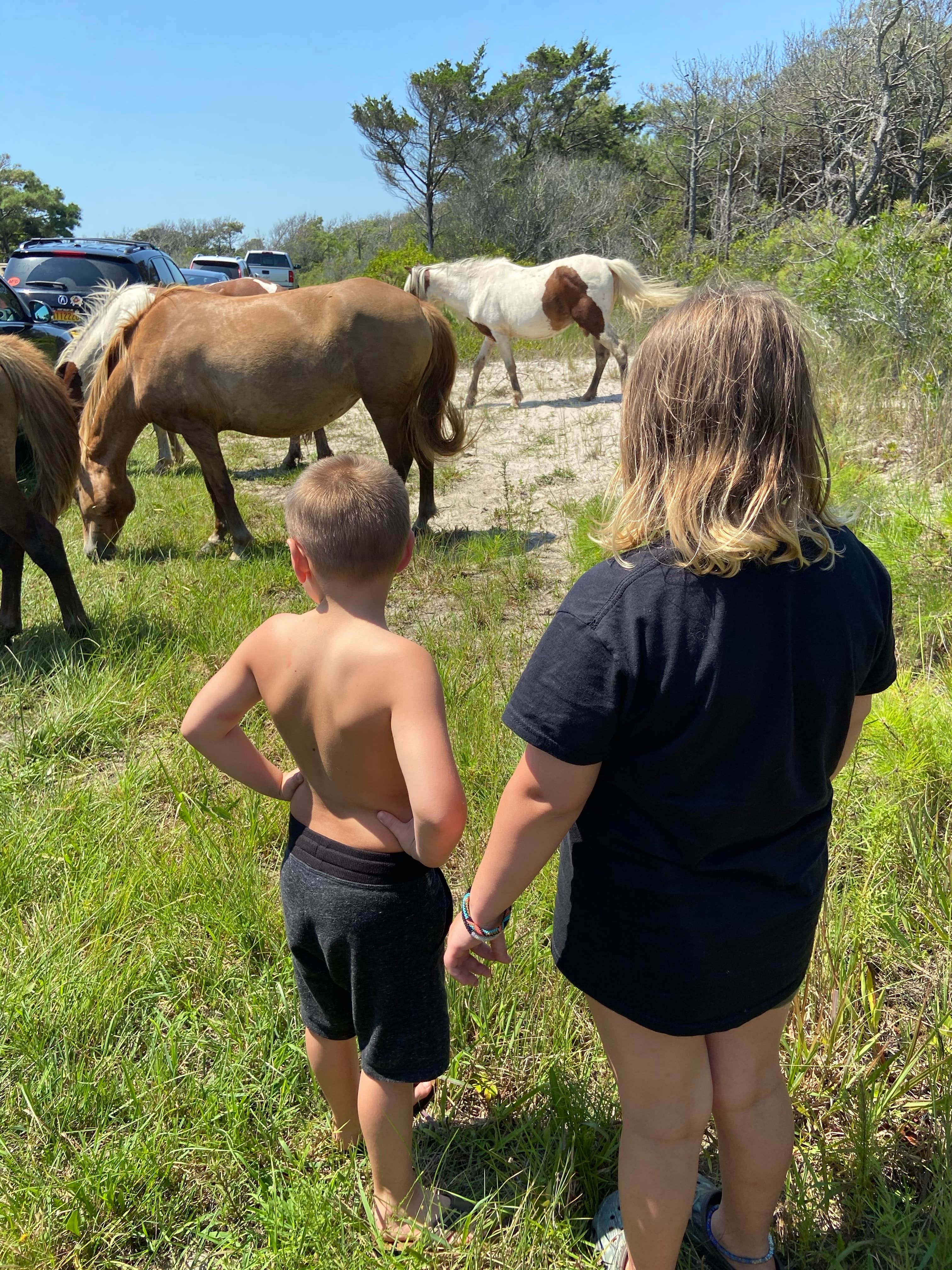 Annemarie R.'s photo of camping with a horse at Assateague Island National Seashore Oceanside Campground near Crisfield, MD