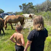 Review photo of Assateague Island National Seashore Oceanside Campground by Annemarie R., August 12, 2020