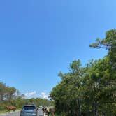 Review photo of Oceanside Assateague Campground — Assateague Island National Seashore by Annemarie R., August 12, 2020