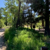 Review photo of Wapiti Campground by Neal C., August 12, 2020