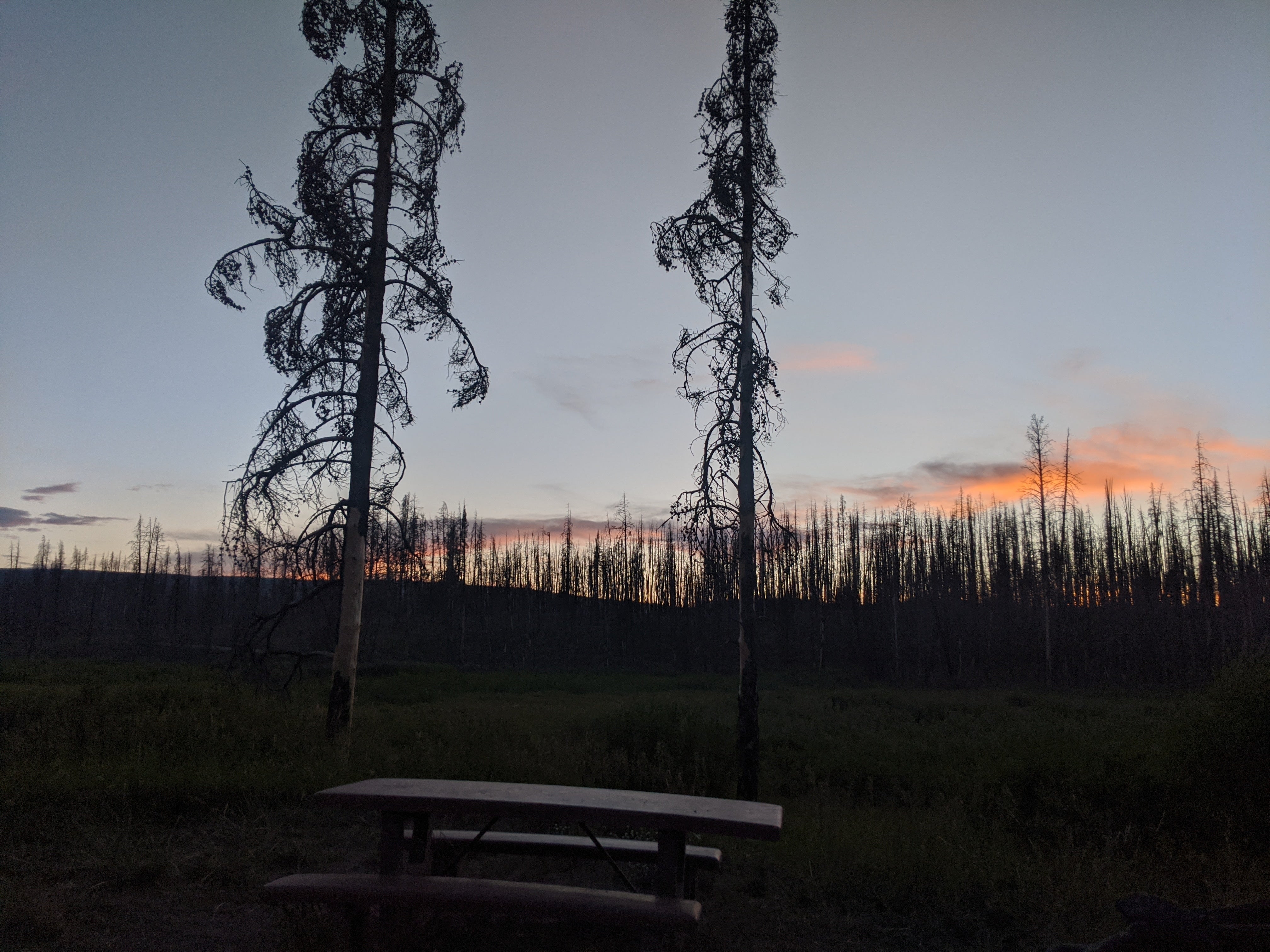Camper submitted image from Snake River Dispersed - Rockefeller Memorial Parkway - 2