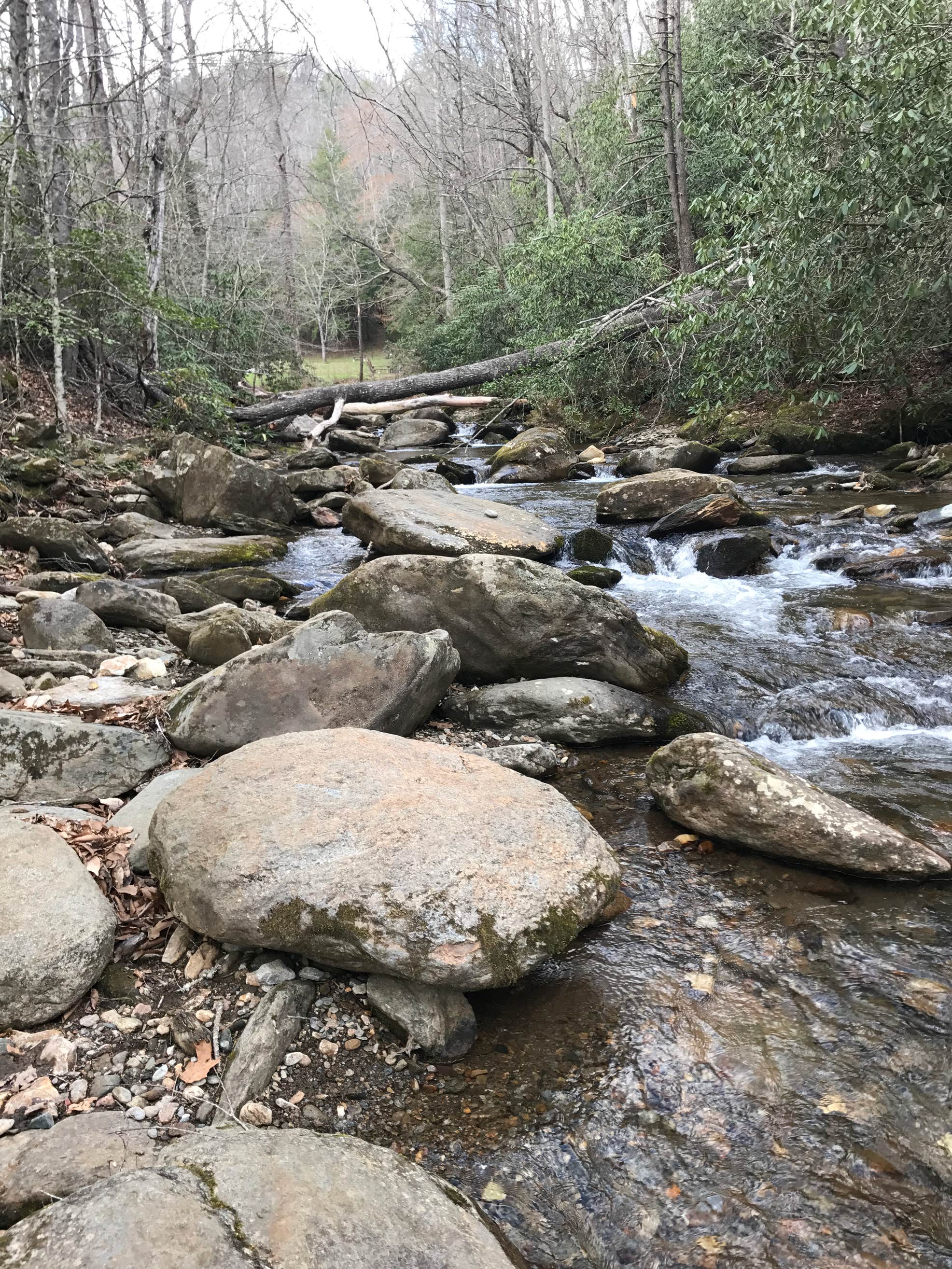 Curtis Creek Campground The Dyrt