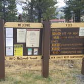 Review photo of New Shady Rest Campground by Berton M., August 11, 2020