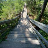 Review photo of Kiptopeke State Park Campground by Annemarie R., August 12, 2020