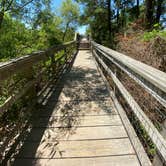 Review photo of Kiptopeke State Park Campground by Annemarie R., August 12, 2020