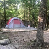 Review photo of Cumberland Falls State Resort Park by Amy S., August 12, 2020