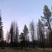 Review photo of Deschutes Forest NFD 4600-120 Dispersed Camping by Alex P., August 12, 2020