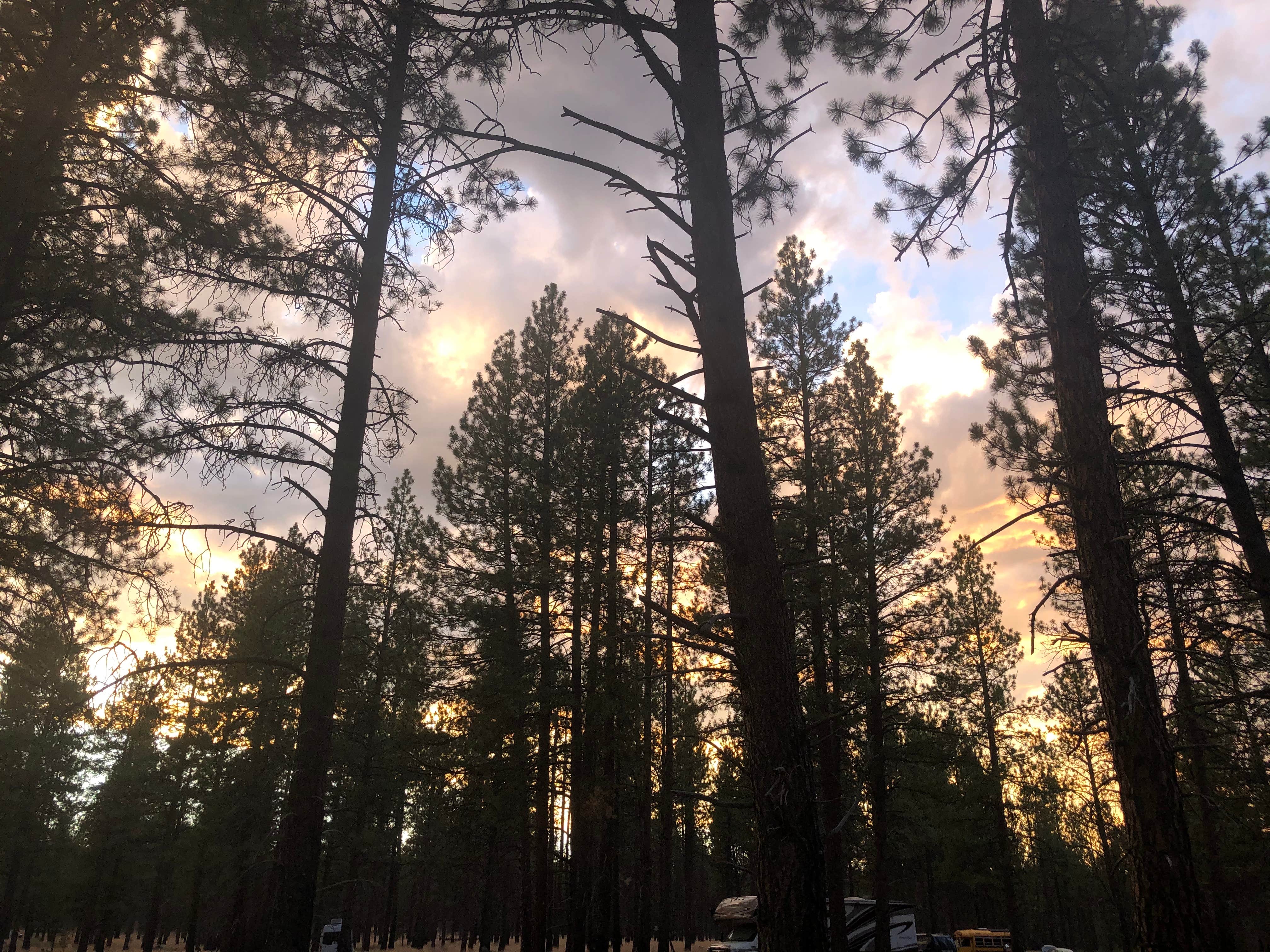 Camper-submitted photo at Deschutes Forest NFD 4600-120 Dispersed Camping near Deschutes & Ochoco National Forests & Crooked River National Grassland