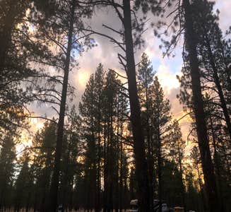 Camper-submitted photo from Deschutes Forest NFD 4600-120 Dispersed Camping