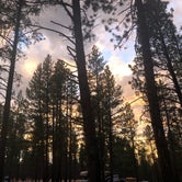 Review photo of Deschutes Forest NFD 4600-120 Dispersed Camping by Alex P., August 12, 2020