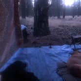 Review photo of Deschutes Forest NFD 4600-120 Dispersed Camping by Alex P., August 12, 2020