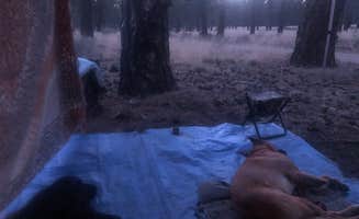 Alex P.'s photo of camping with pets at Deschutes Forest NFD 4600-120 Dispersed Camping near Deschutes & Ochoco National Forests & Crooked River National Grassland