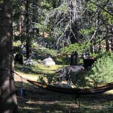 Review photo of Scotts Lake Rd Dispersed Camping by Alex P., August 12, 2020