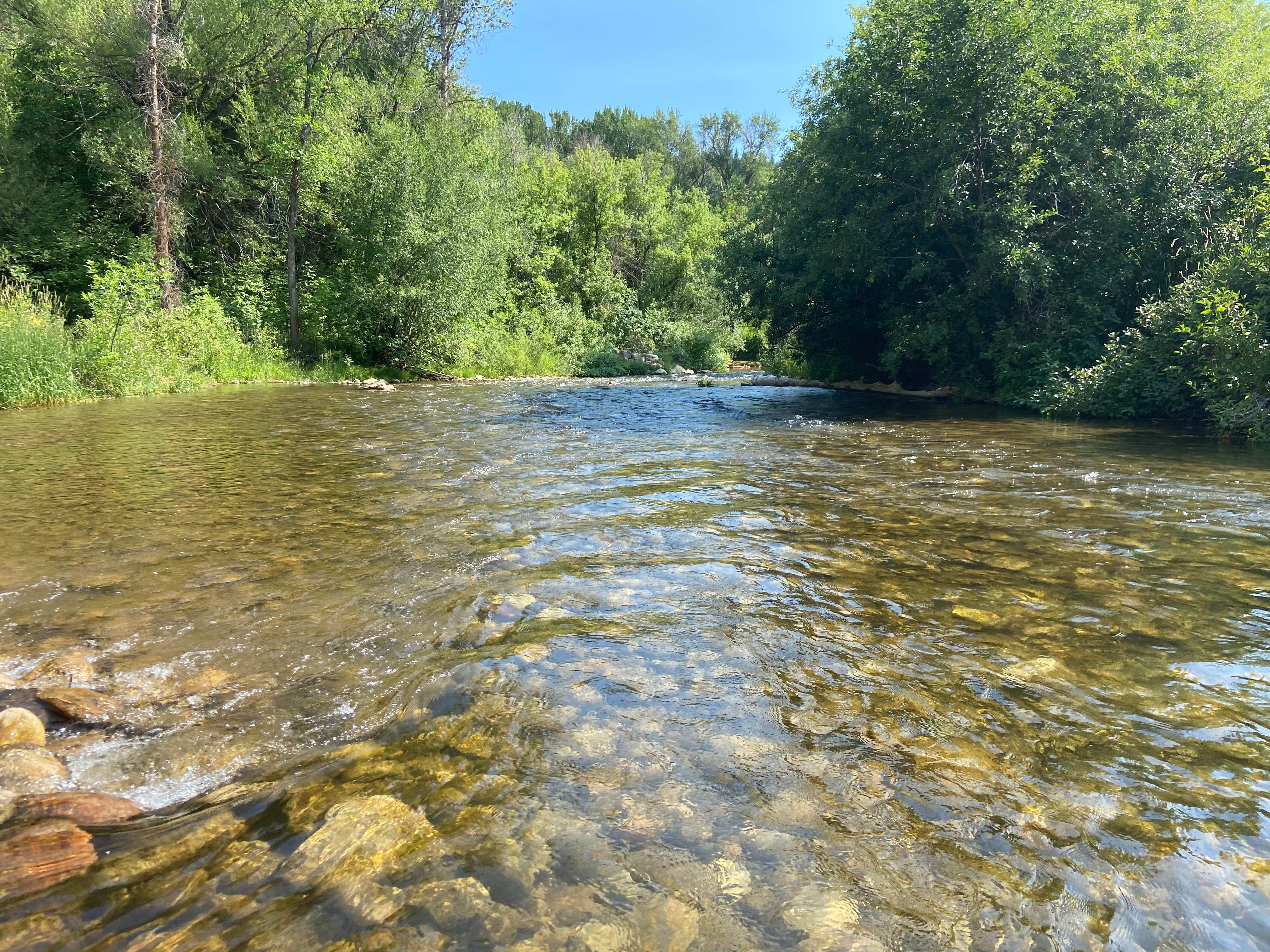 Camper-submitted photo at South Fork (UT) near Evanston, WY