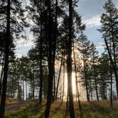 Review photo of West Shore Unit — Flathead Lake State Park by Kathleen D., August 12, 2020