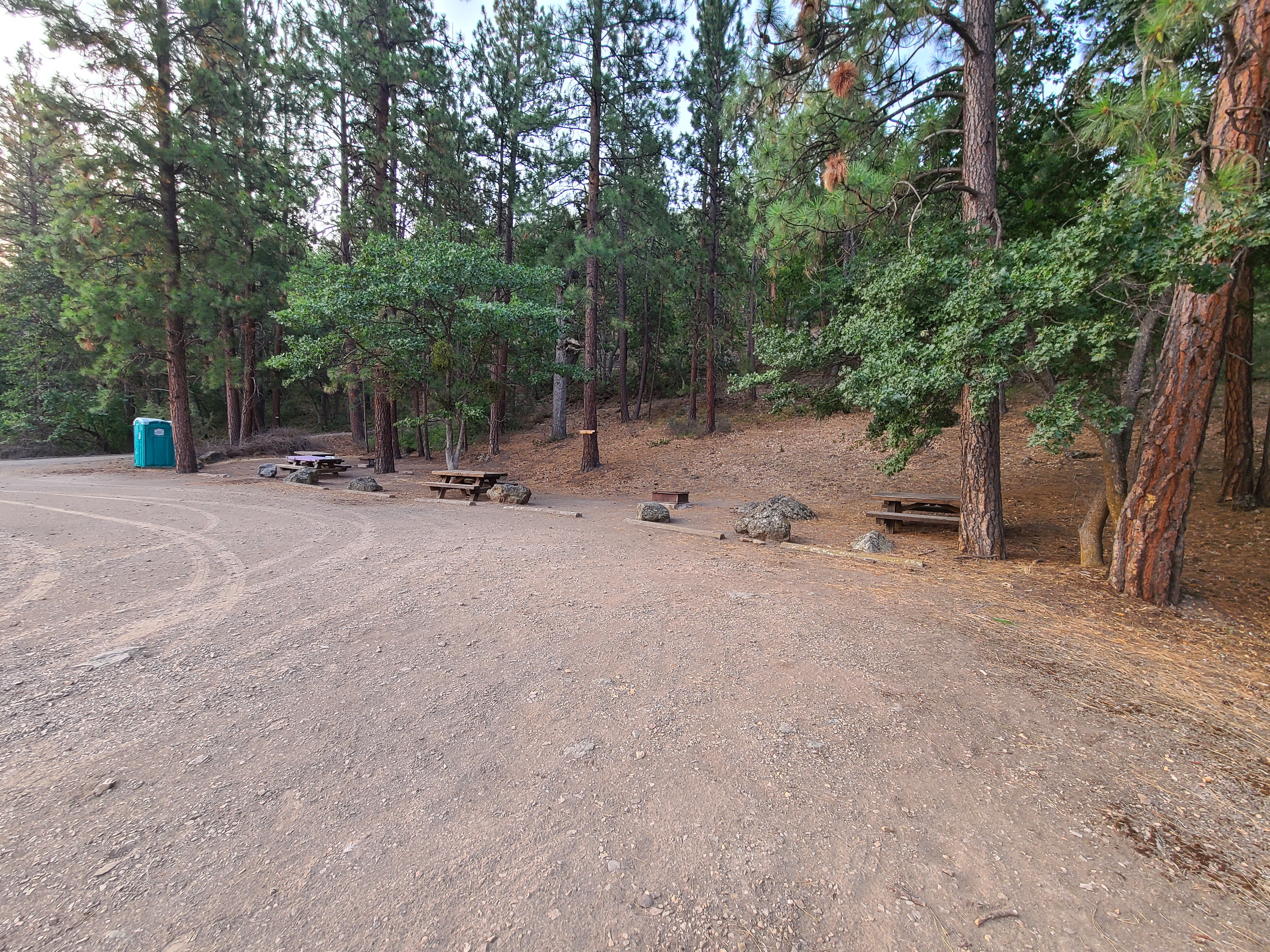 3 firepits and picnic tables under trees, fairly close together.