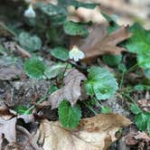 Review photo of Devils Fork State Park Campground by Trina W., April 24, 2018