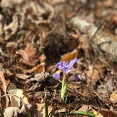 Review photo of Devils Fork State Park Campground by Trina W., April 24, 2018