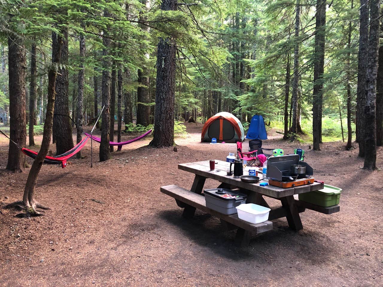 Jeff K.'s photo at Still Creek near Government Camp, OR