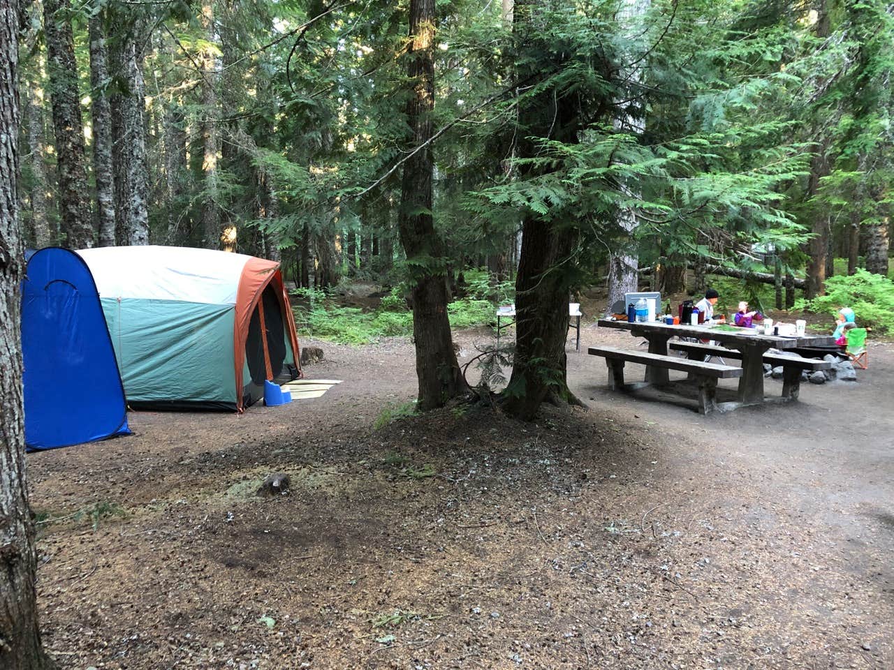 Jeff K.'s photo at Still Creek near Government Camp, OR