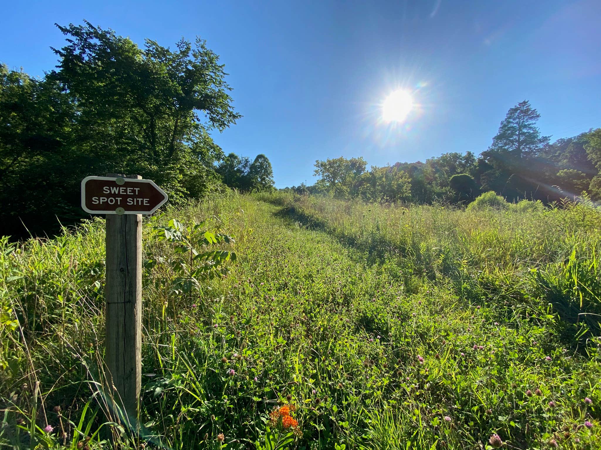 Camper-submitted photo at Low Meadow Farms (formerly Brown Bike Farms) near Knoxville, TN