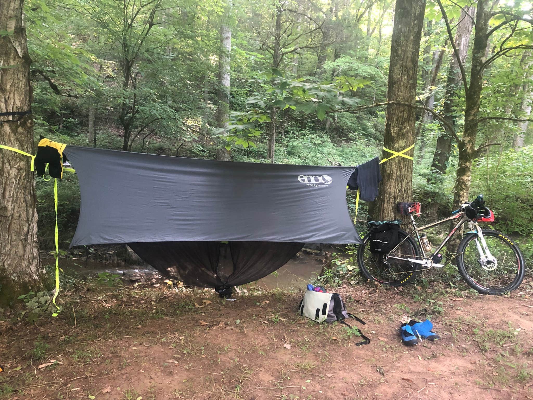 Camper-submitted photo at Low Meadow Farms (formerly Brown Bike Farms) near Knoxville, TN