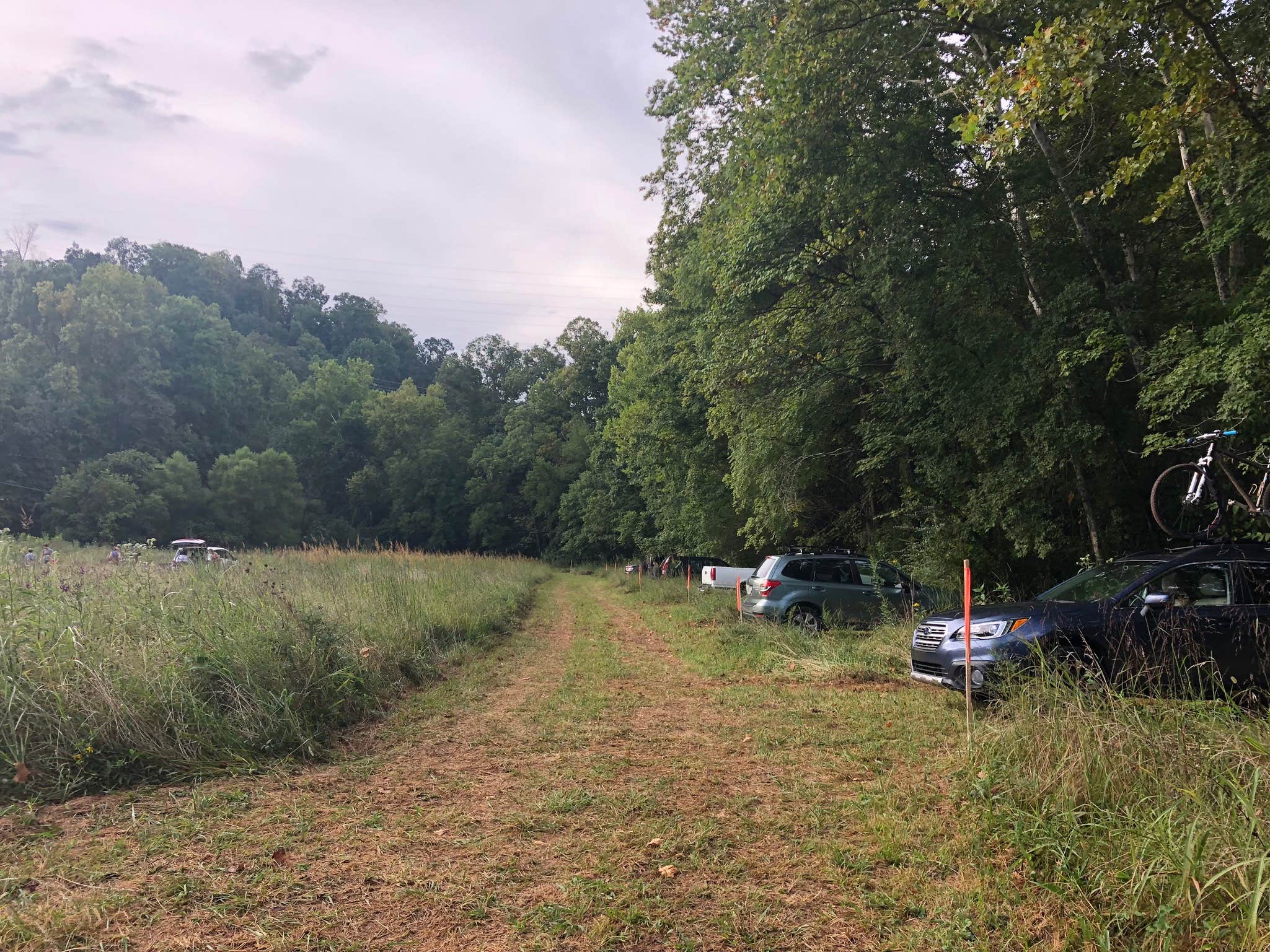 Camper submitted image from Low Meadow Farms (formerly Brown Bike Farms) - 4