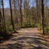 Review photo of Jefferson National Forest Beartree Campground by Shari  G., April 24, 2018