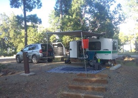 Prescott National Forest Mingus Mountain Campground