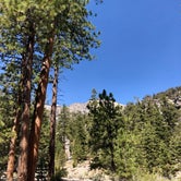 Review photo of Mack's Canyon Dispersed by Brennan L., August 12, 2020