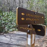 Review photo of Jefferson National Forest Beartree Campground by Shari  G., April 24, 2018