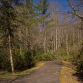 Review photo of Jefferson National Forest Beartree Campground by Shari  G., April 24, 2018