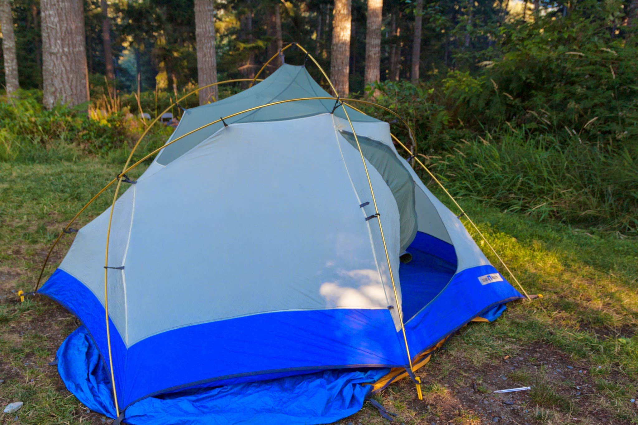 Camper submitted image from Alder Lake Park - 3