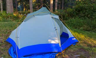Graham C.'s photo at Alder Lake Park near Elbe, WA
