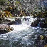 Review photo of Jefferson National Forest Beartree Campground by Shari  G., April 24, 2018