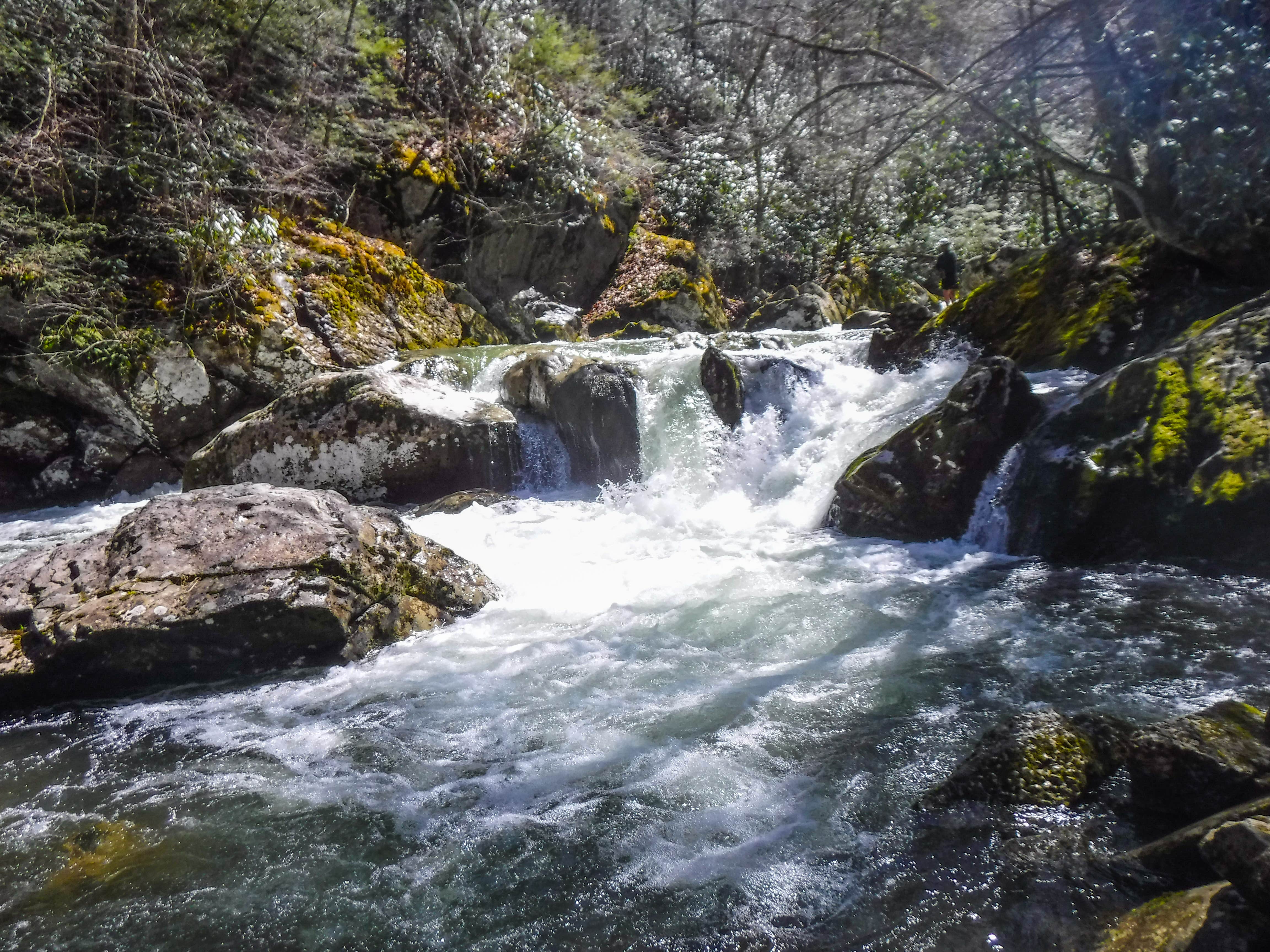 Nature
