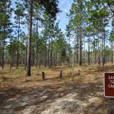 Review photo of Mike Roess Gold Head Branch State Park Campground & Cabins by Annell N., August 12, 2020