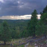 Review photo of Center Lake Campground — Custer State Park by Lauren L., August 12, 2020