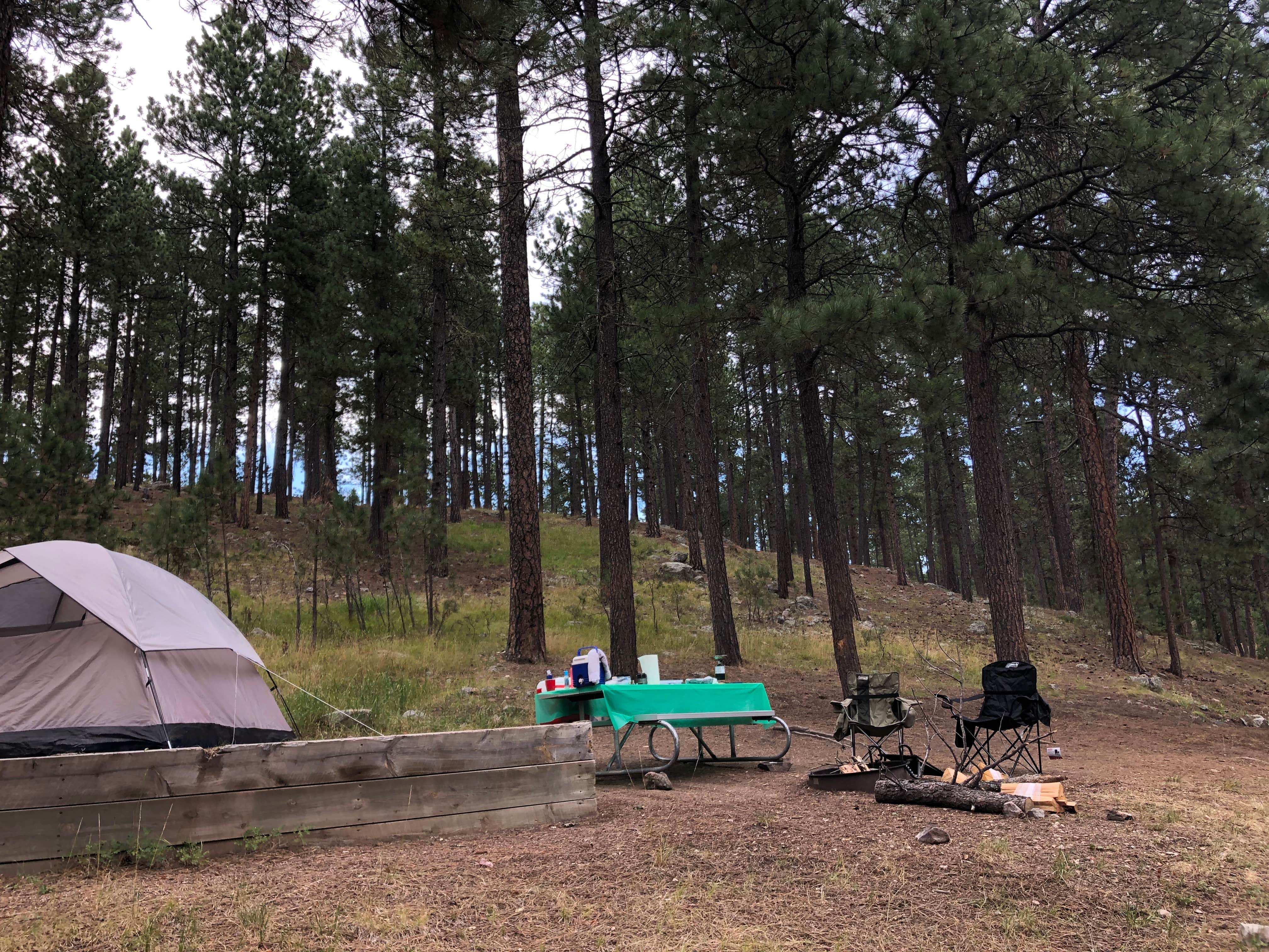 Lauren L.'s photo at Center Lake Campground — Custer State Park in South Dakota