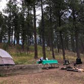 Review photo of Center Lake Campground — Custer State Park by Lauren L., August 12, 2020